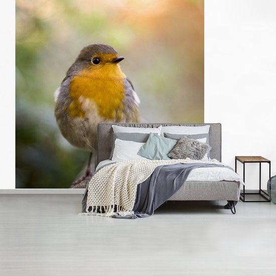 Papier Peint - Papier peint photo Vogels - Rouge-gorge - Arbre - Largeur 300 cm x Hauteur 300 cm