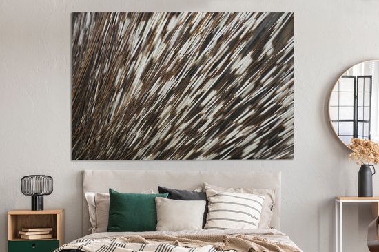 Tableau sur toile Épines en gros plan - 180x120 cm - Décoration murale XXL