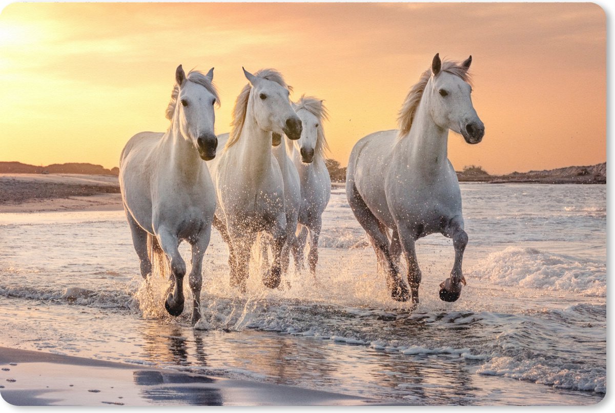 Muismat XXL 90x60 cm - Bureau onderlegger - Bureau mat Paarden - Zon - Zee - Strand - Dieren - Bureaumat - Gaming mousepad xl - Bureaulegger groot - Computer deskmat