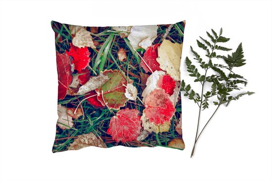 Coussins Coussins décoratifs - Oreillers Salon - 45x45 cm - Feuilles - Novembre - Automne - Nature
