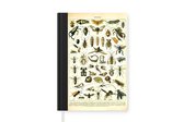 Carnet - Carnet d'écriture - Insectes - Animaux - Vintage - Carnet - Format A5 - Bloc-notes