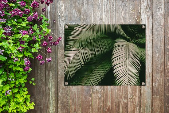 Affiche de jardin - Jardin - Palmier - Feuille de palmier - Tropical - Feuilles - 80x60 cm - Tableau jardin - Toile jardin - Affiche extérieure