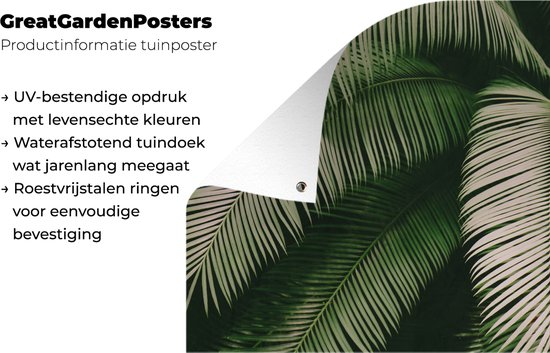 Affiche de jardin - Jardin - Palmier - Feuille de palmier - Tropical - Feuilles - 80x60 cm - Tableau jardin - Toile jardin - Affiche extérieure