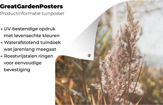 Affiche de jardin - Pampa - Herbe de la pampa plante de jardin - Plante - Nature - Rose - 160x120 cm - Affiche de clôture - Jardin - Décoration murale - Décoration de Décoration de jardin - Toile de jardin