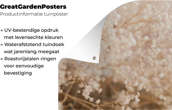 Affiche de jardin - Pampa - Herbe de la pampa plante de jardin - Plantes - Nature - Rose - 120x160 cm - Affiche de jardin fleurs - Jardin - Décoration murale - Décoration murale - Toile de jardin