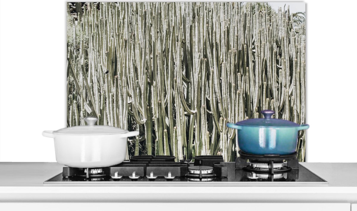 Spatscherm - Spatwand - Cactus - Natuur - Groen - Plant - Keuken decoratie - 80x55 cm