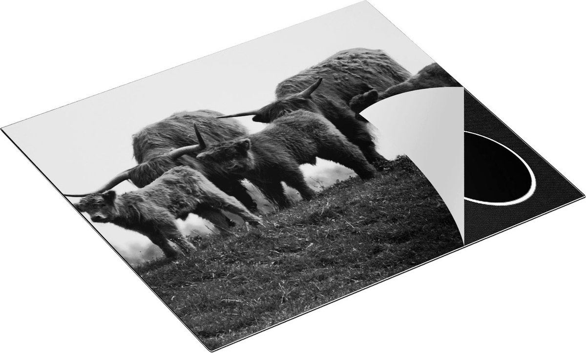 Chefcare Inductie Beschermer Schotse Hooglander Familie - Zwart Wit - 59x51 cm - Afdekplaat Inductie - Kookplaat Beschermer - Inductie Mat
