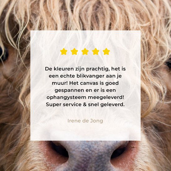 Toile Highlander écossais poilue 2cm