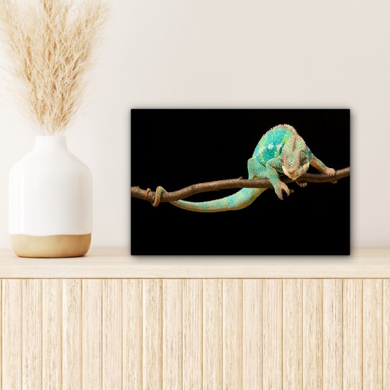 Gros plan sur toile caméléon panthère 2cm 30x20 cm - petit - tirage photo sur toile (Décoration murale salon / chambre)