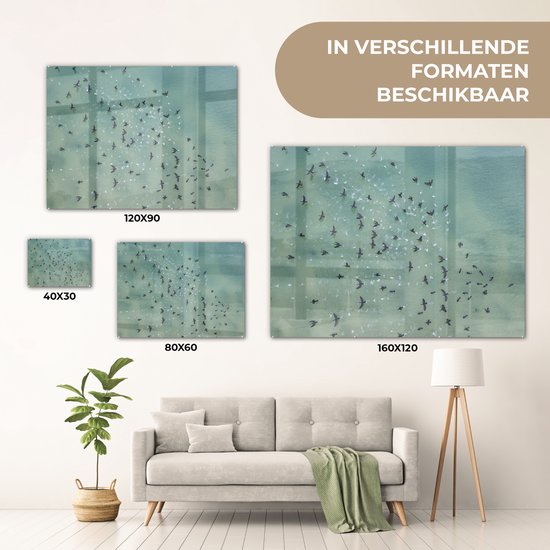 MuchoWow® Peinture sur verre 40x30 cm - Peinture sur verre acrylique - Vue de dessus des oiseaux au-dessus de la mer - Photo sur verre - Peintures