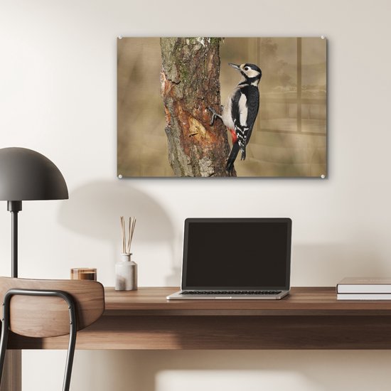 Un grand pic tacheté en automne Plexiglas 60x40 cm - Tirage photo sur Glas (décoration murale plexiglas)
