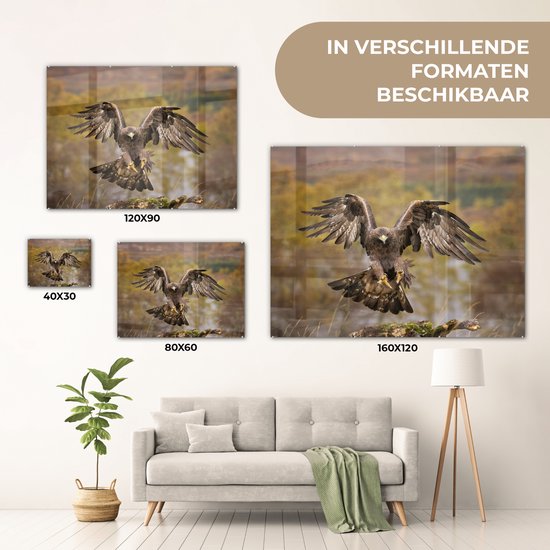 Atterrissage aigle royal aux ailes courbes Plexiglas 160x120 cm - Tirage photo sur Glas (décoration murale plexiglas) XXL / Groot format!