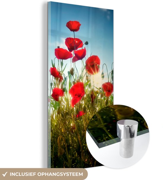 MuchoWow® Glasschilderij 20x40 cm - Schilderij acrylglas - Klaprozen - Toscane - Zon - Rood - Blauw - Foto op glas - Schilderijen