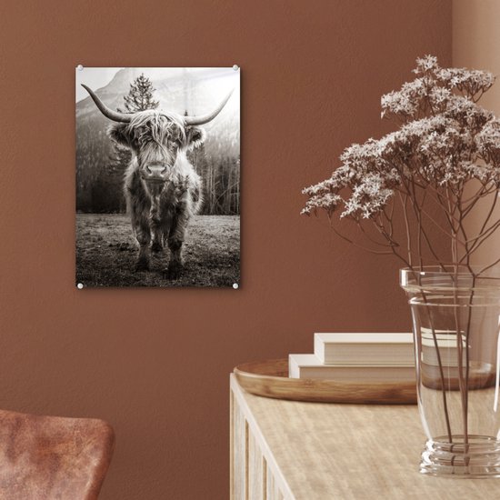 MuchoWow® Peinture sur verre 30x40 cm - Peinture acrylique sur verre - Highlander écossais - Zwart - Wit - Animaux - Photo sur verre - Peintures