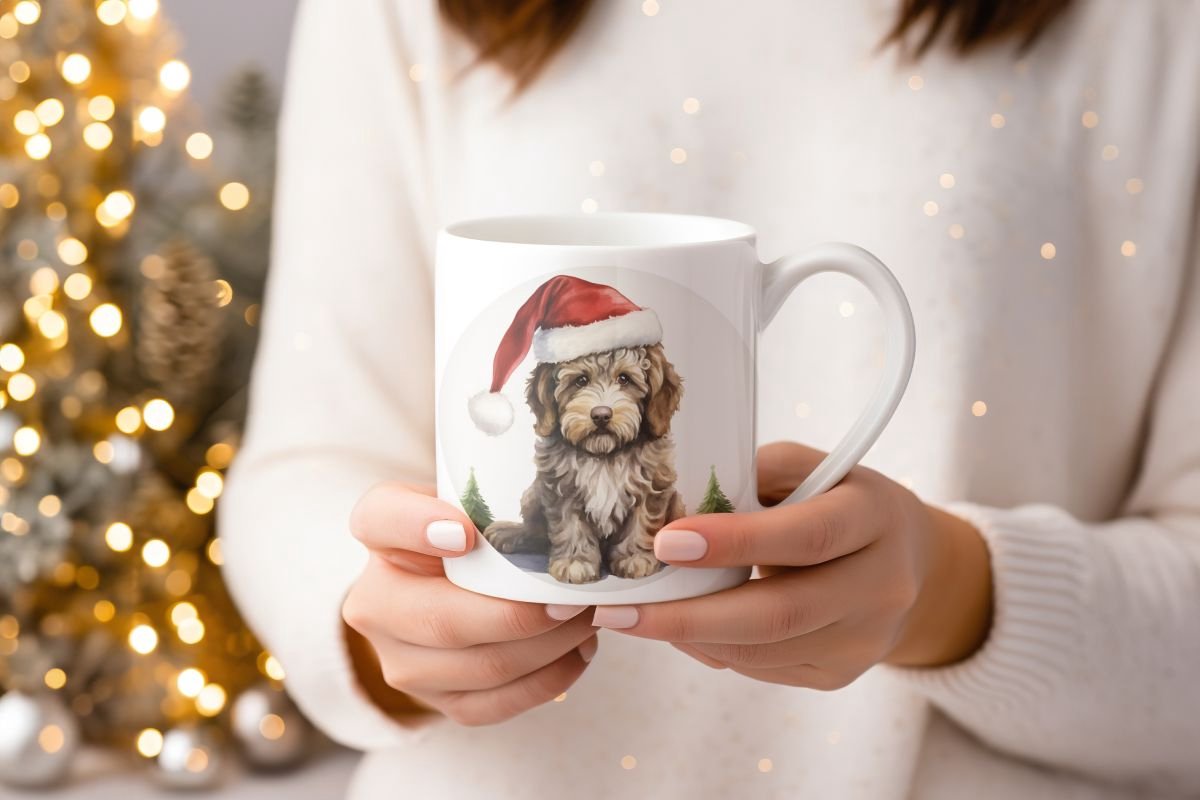 What Is A Fleece Coat Labradoodle at Iva Niamh blog