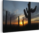 Artaza Canvas Schilderij Cactussen bij Zonsondergang in de Woestijn - 90x60 - Foto Op Canvas - Canvas Print - Muurdecoratie