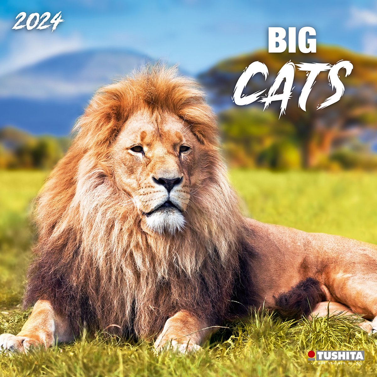Big Cats Kalender 2024