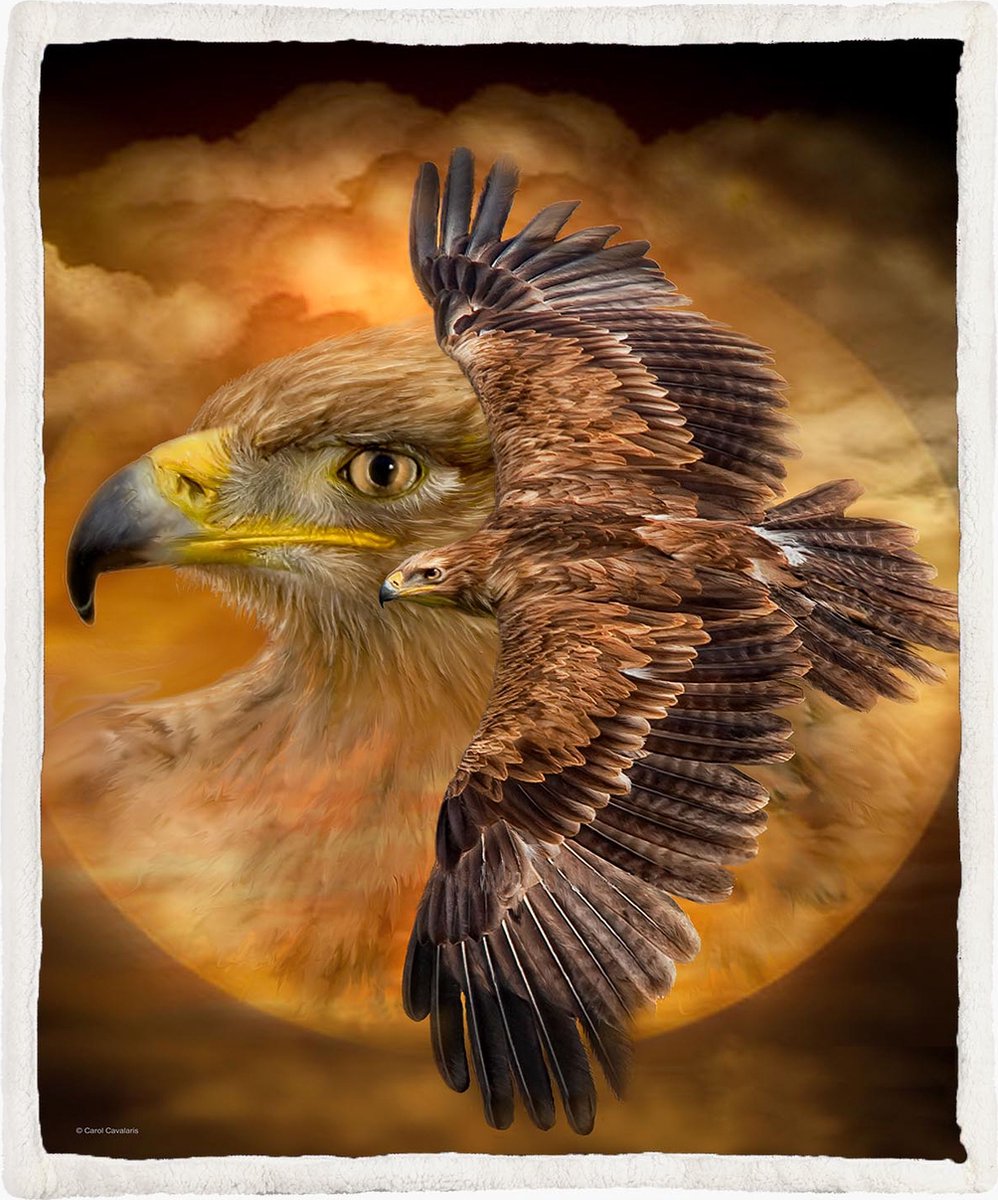 The Coloured House Havik Fleece Deken 150*200cm Hawk - Spirit Of Wind Multicolor