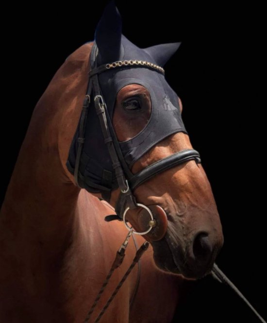 Bruin paard met een zwart Fenwick Liquid Titanium masker, voorzien van een gouden bies.
