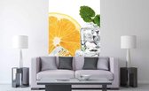 Dimex Lemon and Ice Vlies Fotobehang 150x250cm 2-banen