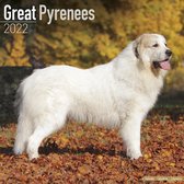 Great Pyrenees - Pyrenäenhunde 2022 - 18-Monatskalender mit