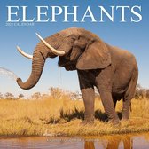 Elephants - Elefanten 2022 - 18-Monatskalender