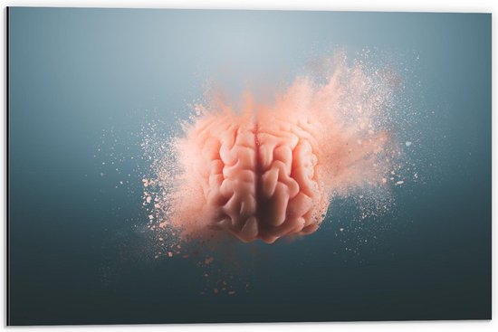 Dibond - Stuivende Hersenen - 60x40cm Foto op Aluminium (Met Ophangsysteem)