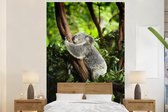Behang - Fotobehang Koala - Slapen - Boom - Breedte 180 cm x hoogte 280 cm
