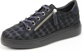 DLSport 6000 Blauw