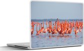 Laptop sticker - 13.3 inch - Grote groep flamingo's in het water - 31x22,5cm - Laptopstickers - Laptop skin - Cover
