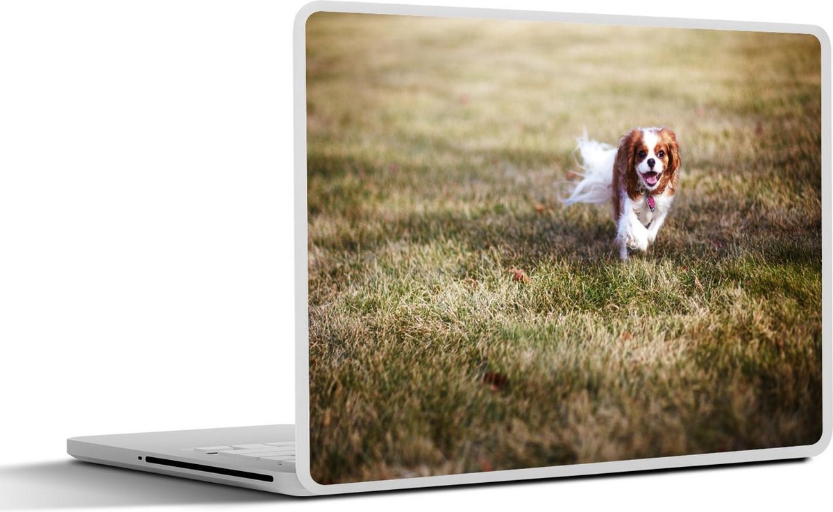 Afbeelding van product SleevesAndCases  Laptop sticker - 11.6 inch - Een vrouwelijke Cavalier King Charles-spaniël in het gras