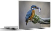 Laptop sticker - 17.3 inch - IJsvogel - Vis - Dier - 40x30cm - Laptopstickers - Laptop skin - Cover
