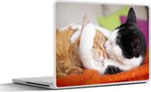 Laptop sticker - 14 inch - Katten - Knuffel - Dierendag - 32x5x23x5cm - Laptopstickers - Laptop skin - Cover