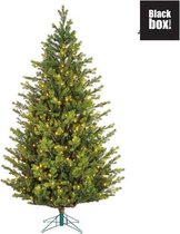 Black Box Trees - Dunville kerstboom led groen 744L TIPS 5003 - h260xd160cm- Kerstbomen