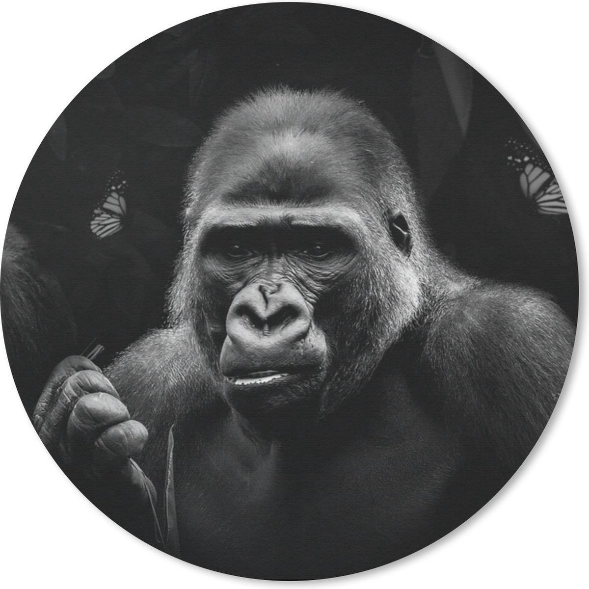 Muismat rond 40x40 cm - Mousepad Dieren - Aap - Gorilla - Zwart - Wit - Ronde muismatten