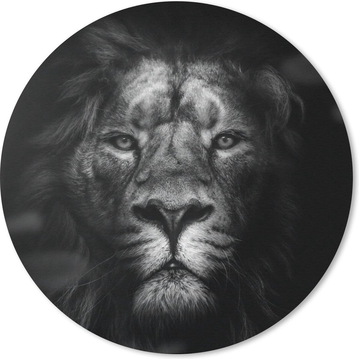 Muismat rond 40x40 cm - Mousepad Dieren - Leeuw - Roofdier - Zwart - Wit - Ronde muismatten