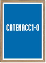 Catenaccio