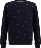 WE Fashion Jongens sweater met dessin