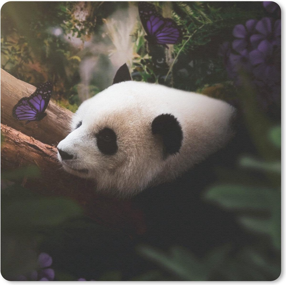 Muismat 20x20 cm - Mousepad Dieren - Jungle - Panda - Muismatten