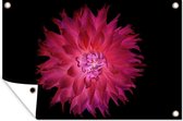 Muurdecoratie Dahlia - Bloem - Roze - 180x120 cm - Tuinposter - Tuindoek - Buitenposter