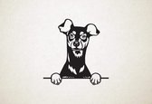 Dwergpinscher - Miniature Pinscher - hond met pootjes - M - 61x60cm - Zwart - wanddecoratie