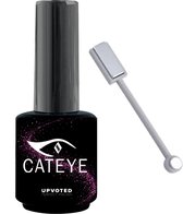 NailPerfect UPVOTED #002 Chartreux + Magneet