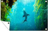 Muurdecoratie Kelp - Water - Haai - 180x120 cm - Tuinposter - Tuindoek - Buitenposter