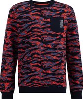 WE Fashion Jongens sweater met dessin