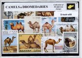 Kamelen & Dromedarissen – Luxe postzegel pakket (A6 formaat) : collectie van 50 verschillende postzegels van kamelen & dromedarissen – kan als ansichtkaart in een A6 envelop - auth