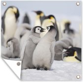 Tuindoek Pinguïn - Sneeuw - Baby - 100x100 cm