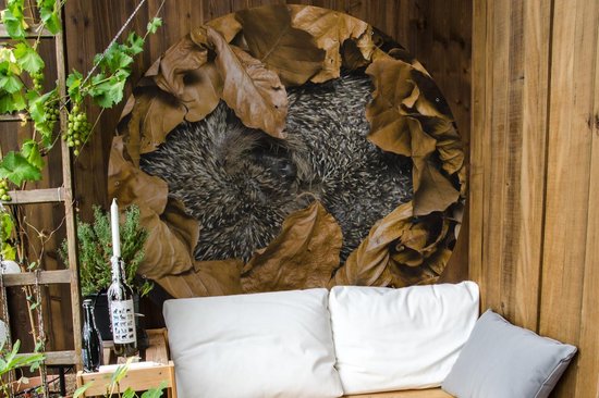 Garden Circle Hérisson - Marron - Feuilles - 150x150 cm - Affiche de Jardin Ronde - Extérieur