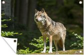 Tuinposter - Tuindoek - Tuinposters buiten - Wolf - Bos - Dieren - 120x80 cm - Tuin