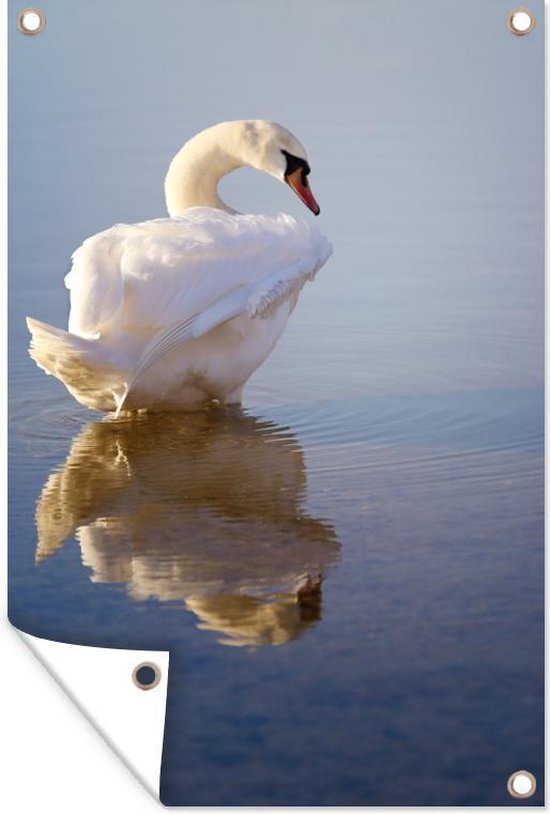 Tuinposter - Tuindoek - Tuinposters buiten - Zwaan - Vogel - Water - 80x120 cm - Tuin