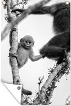 Muurdecoratie Jonge aap kijkend in de camera - zwart wit - 120x180 cm - Tuinposter - Tuindoek - Buitenposter